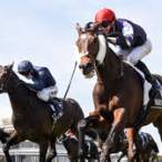 bet on melbourne cup 2021